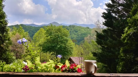 The Summit Cabin of Gatlinburg