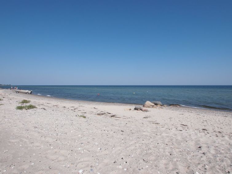 alvina-25m-from-the-sea/