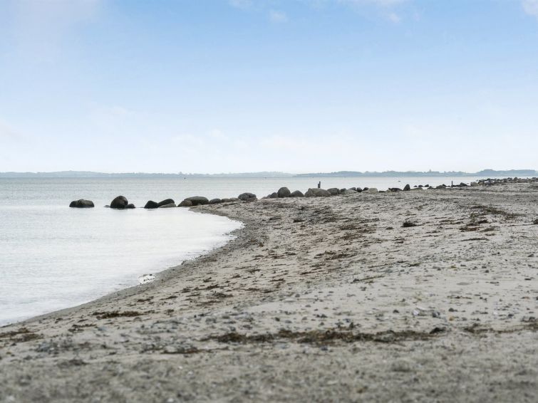 alvina-25m-from-the-sea/