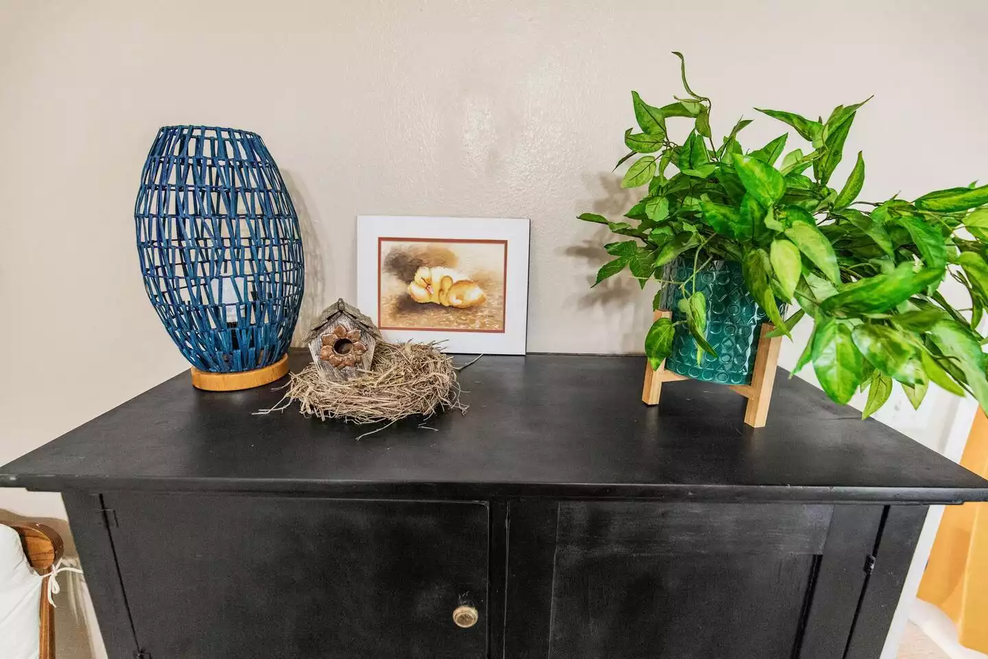 Fresh and vibrant decor to make you feel at home. Fresh and vibrant decor to make you feel at home. - The Birdhouse - Keller