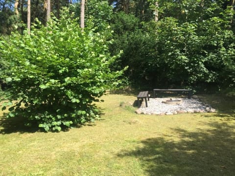 Place
