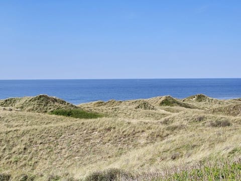 "Mafalda" - 260m from the sea