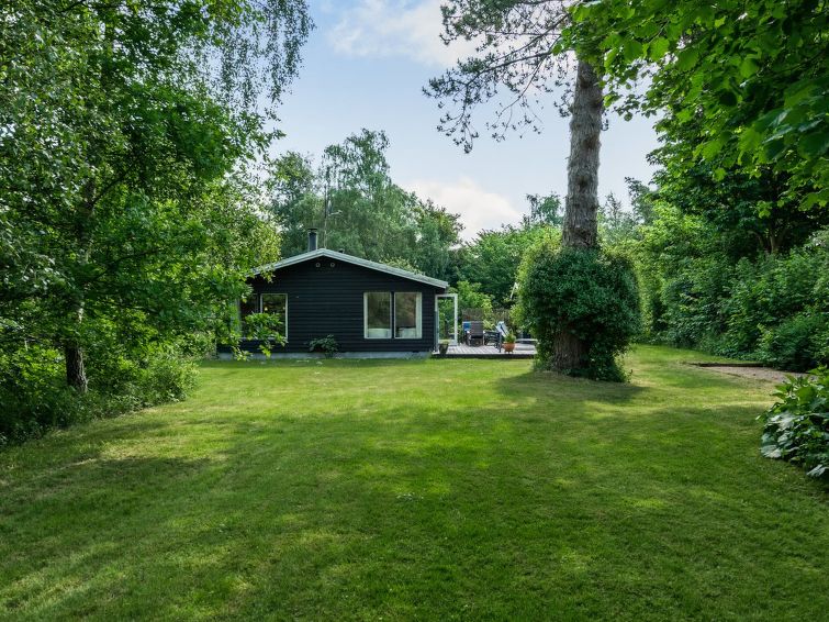 lucie-1-5km-from-the-sea/