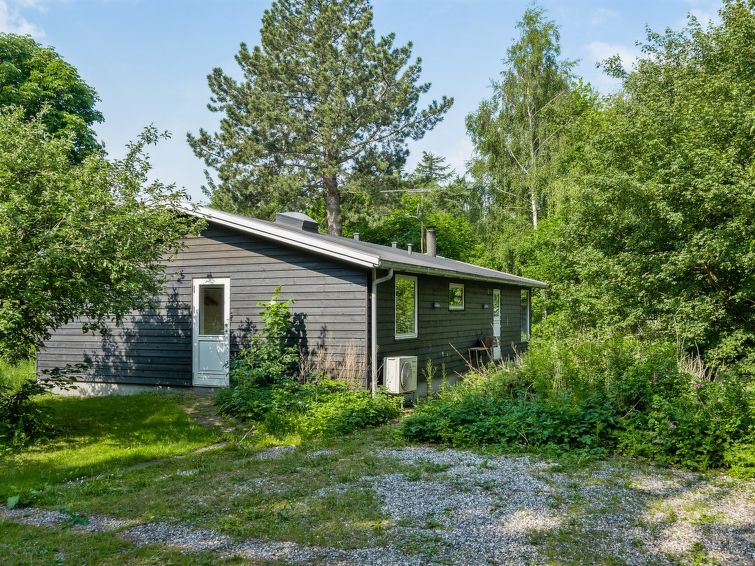 lucie-1-5km-from-the-sea/