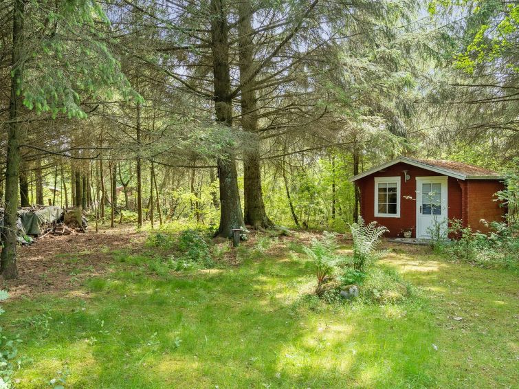 deik-2km-to-the-fjord/