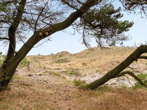 Place