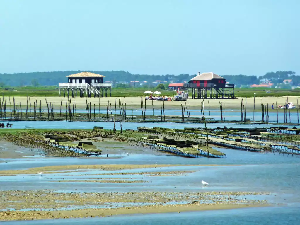 Calliope - Arcachon