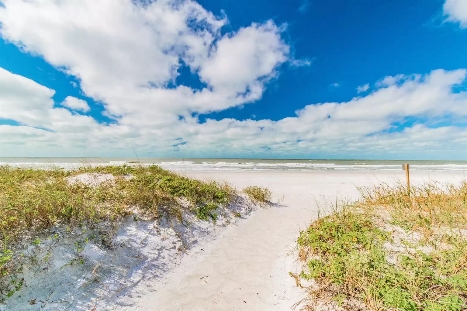 Sunset Paradise #5 - Indian Rocks Beach