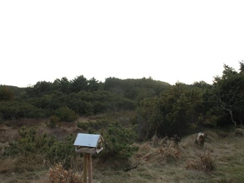 Place