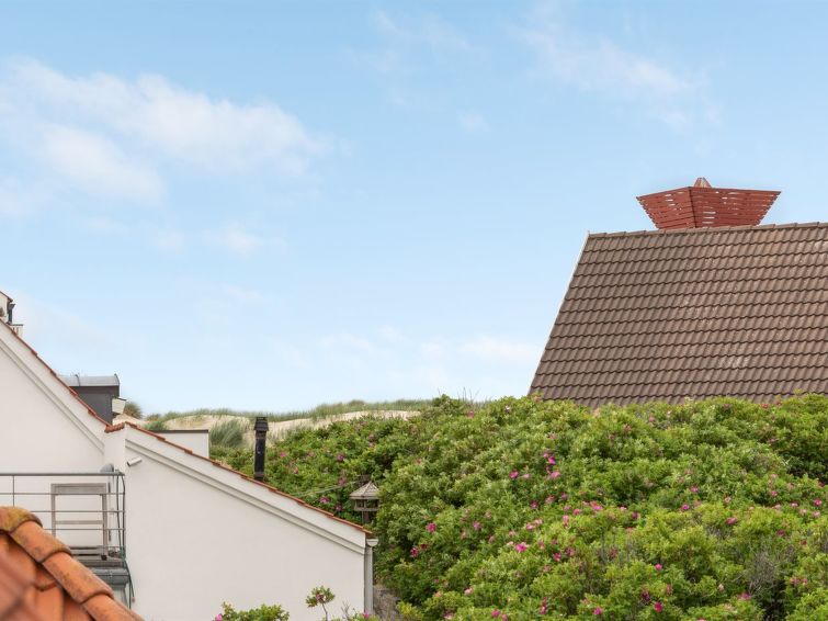 riki-150m-from-the-sea/