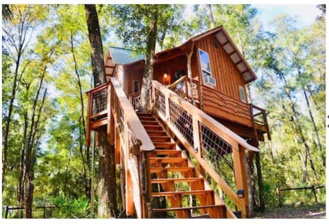The treehouse