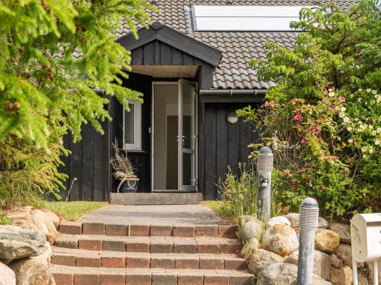 pelle-800m-from-the-sea/