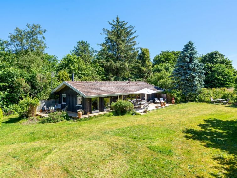 naira-1-8km-from-the-sea/