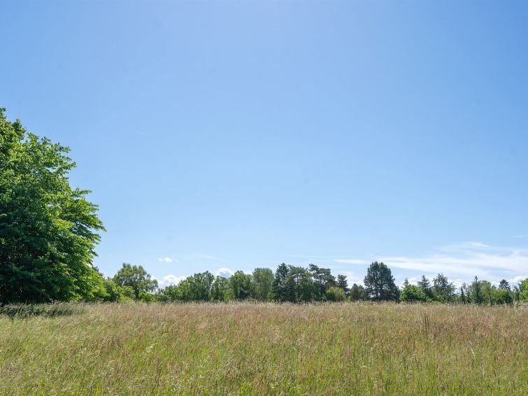 naira-1-8km-from-the-sea/