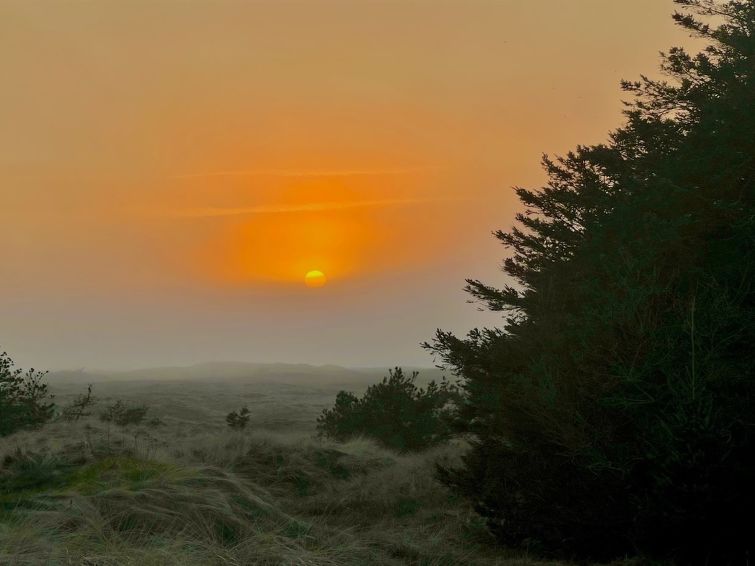 nilson-1-4km-from-the-sea/