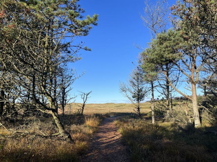 nilson-1-4km-from-the-sea/