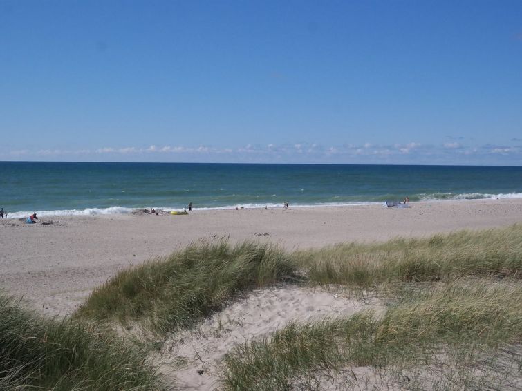 iines-200m-from-the-sea/