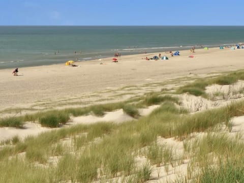 Outdoor