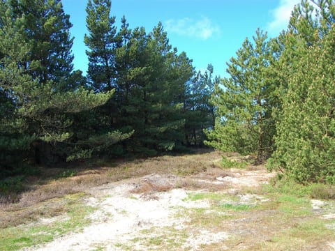 Place
