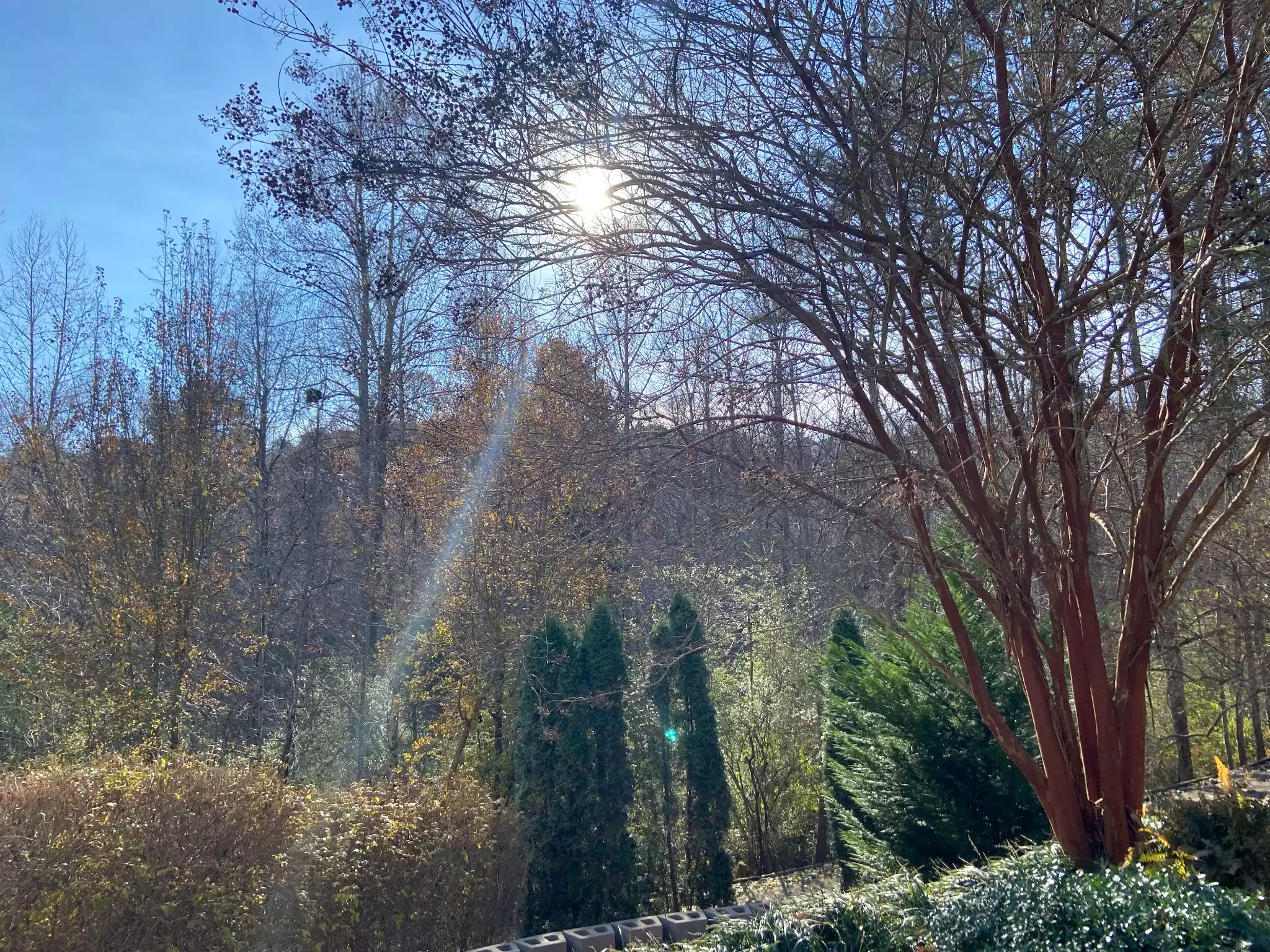 Property Landscaping