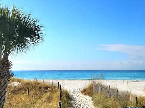 Mermaid's Horizon, PCB