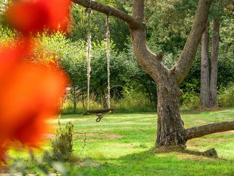 Place