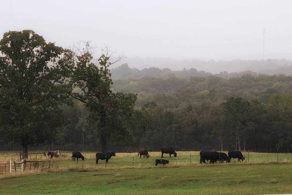 View from the deck. Misty mornings are common! - Horizon Hideaway: - Shell Knob