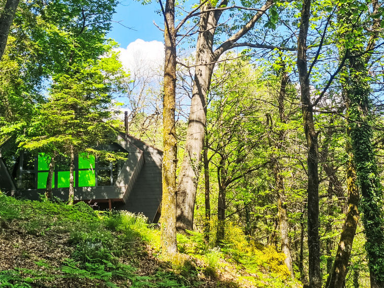 bosco-della-bella-6/