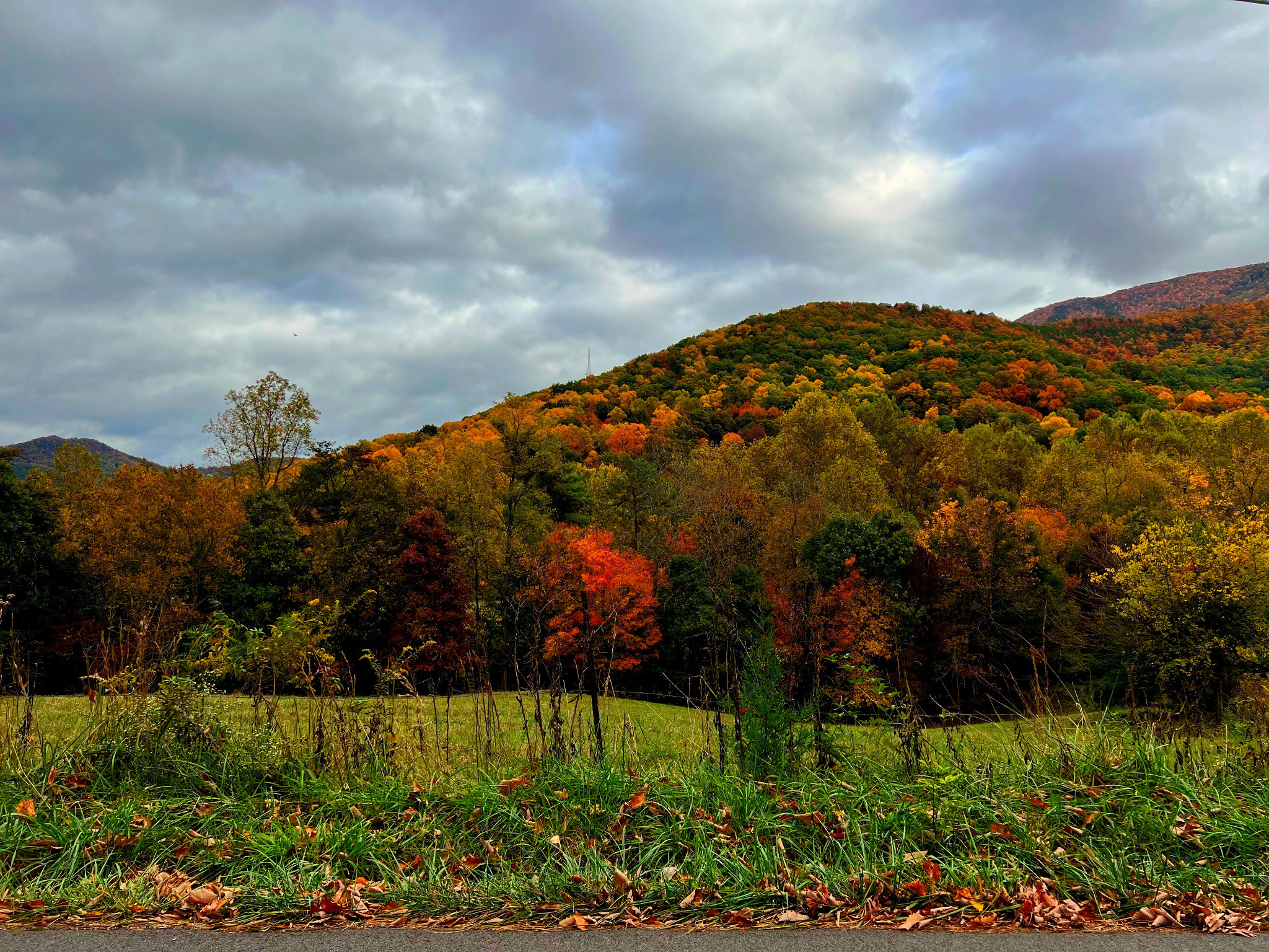 Gorgeous Fall Color!   Just one of many views that you will see on the way to our cabin, Chillin the Most... These are pictures of Wears Valley, from Fall 2023....  Book today!