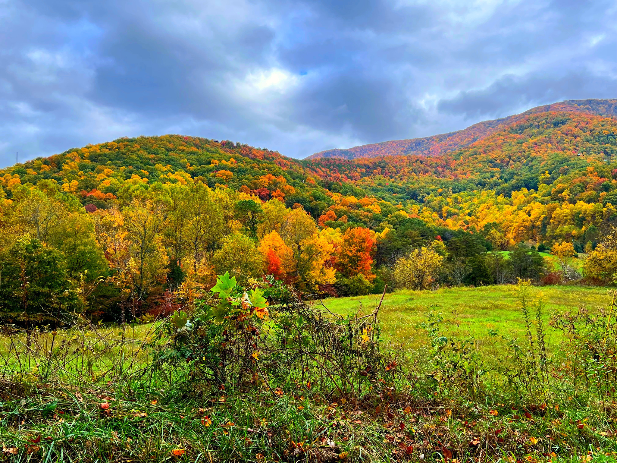Gorgeous Fall Color!   Just one of many views that you will see on the way to our cabin, Chillin the Most... These are pictures of Wears Valley, from Fall 2023....  Book today!