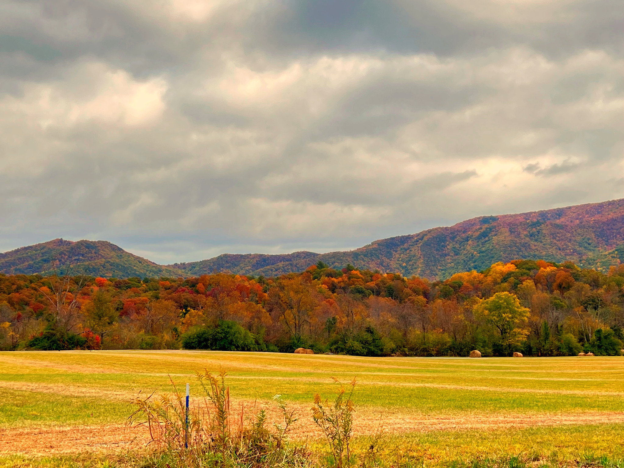 Gorgeous Fall Color!   Just one of many views that you will see on the way to our cabin, Chillin the Most... These are pictures of Wears Valley, from Fall 2023....  Book today!