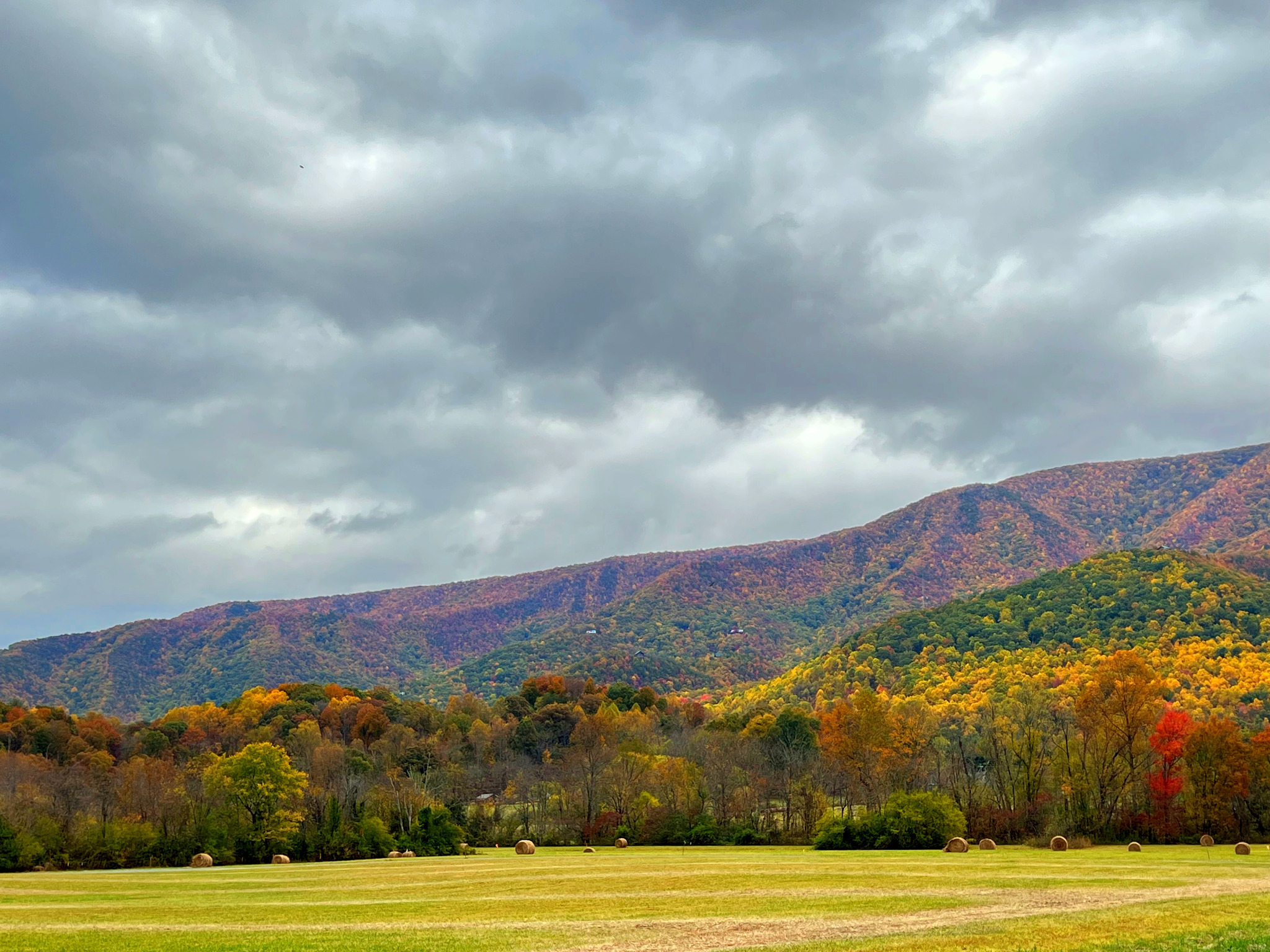 Gorgeous Fall Color!   Just one of many views that you will see on the way to our cabin, Chillin the Most... These are pictures of Wears Valley, from Fall 2023....  Book today!