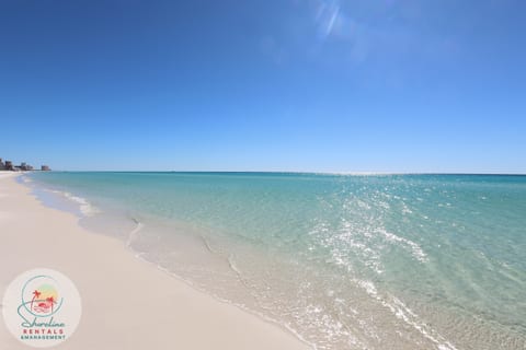 Experience PCB the Shoreline way — crystal-clear waters, peaceful beaches, unforgettable stays.