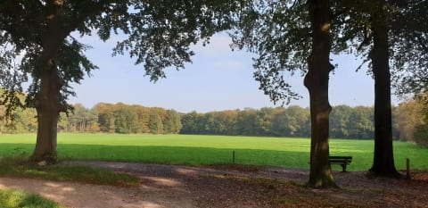 Parc Huys
