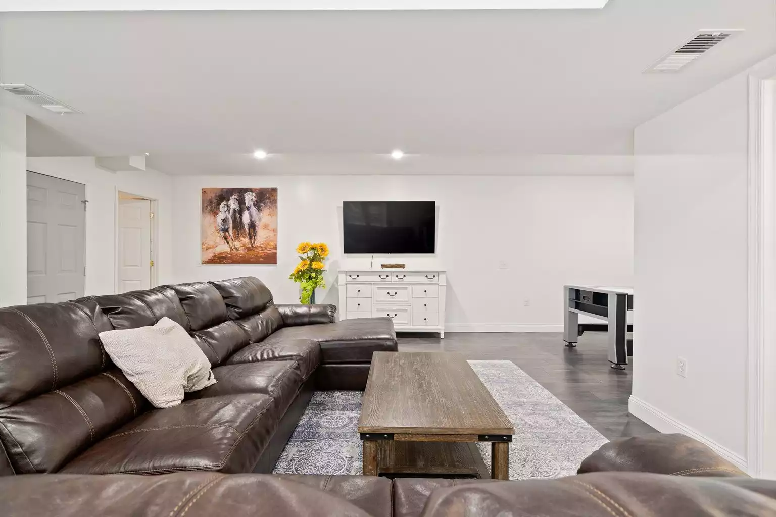 Basement Living-room - Hawk Mountain Song - Massanutten Mountain - McGaheysville