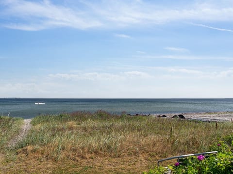 "Mirkka" - 50m from the sea