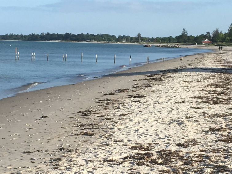 rikus-300m-from-the-sea/