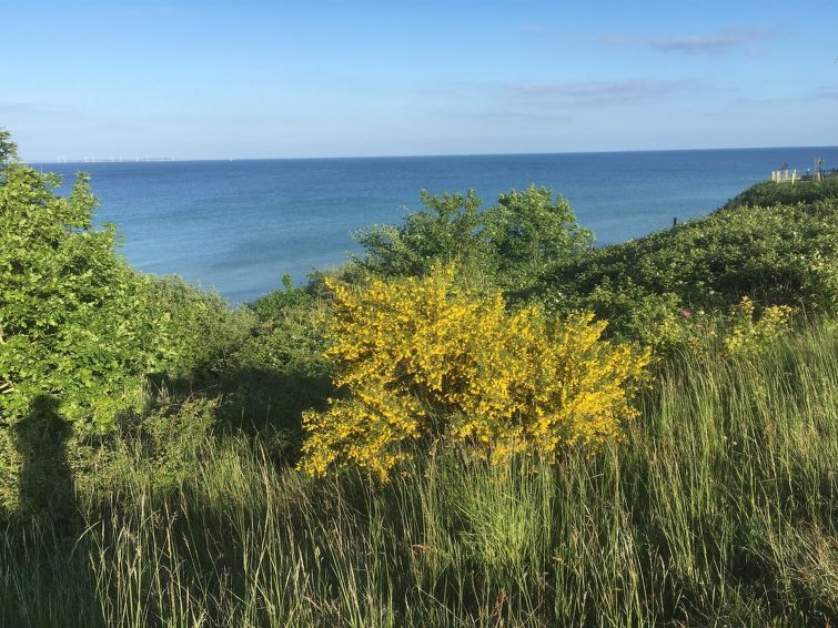 rikus-300m-from-the-sea/