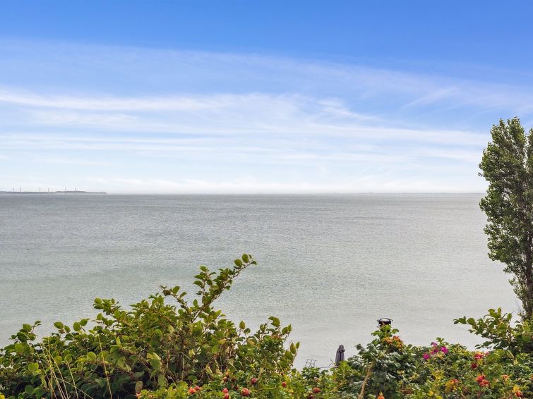 rikus-300m-from-the-sea/