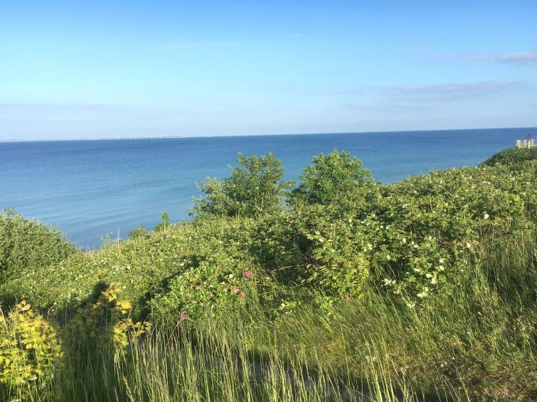 rikus-300m-from-the-sea/