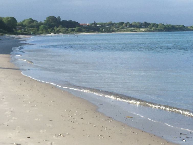 rikus-300m-from-the-sea/