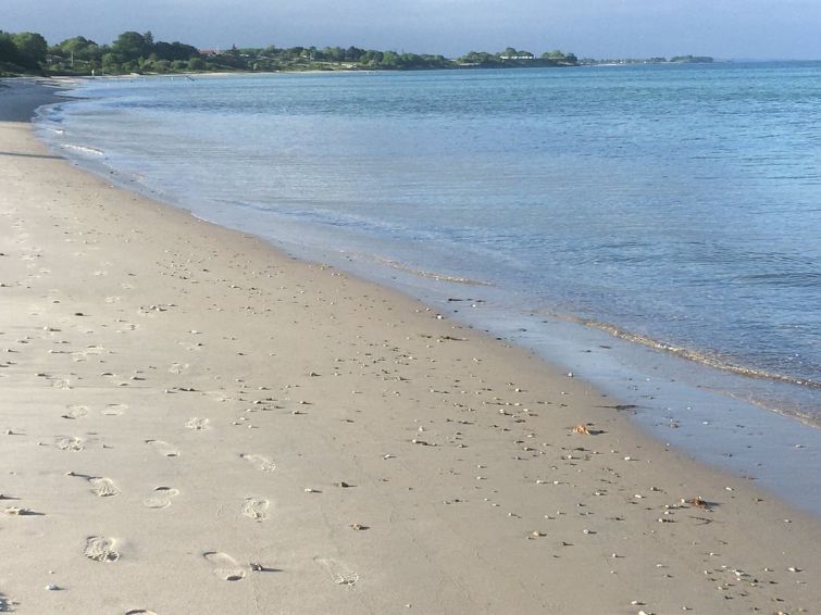 rikus-300m-from-the-sea/