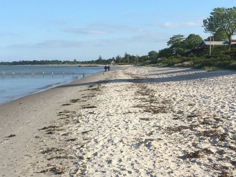 rikus-300m-from-the-sea/