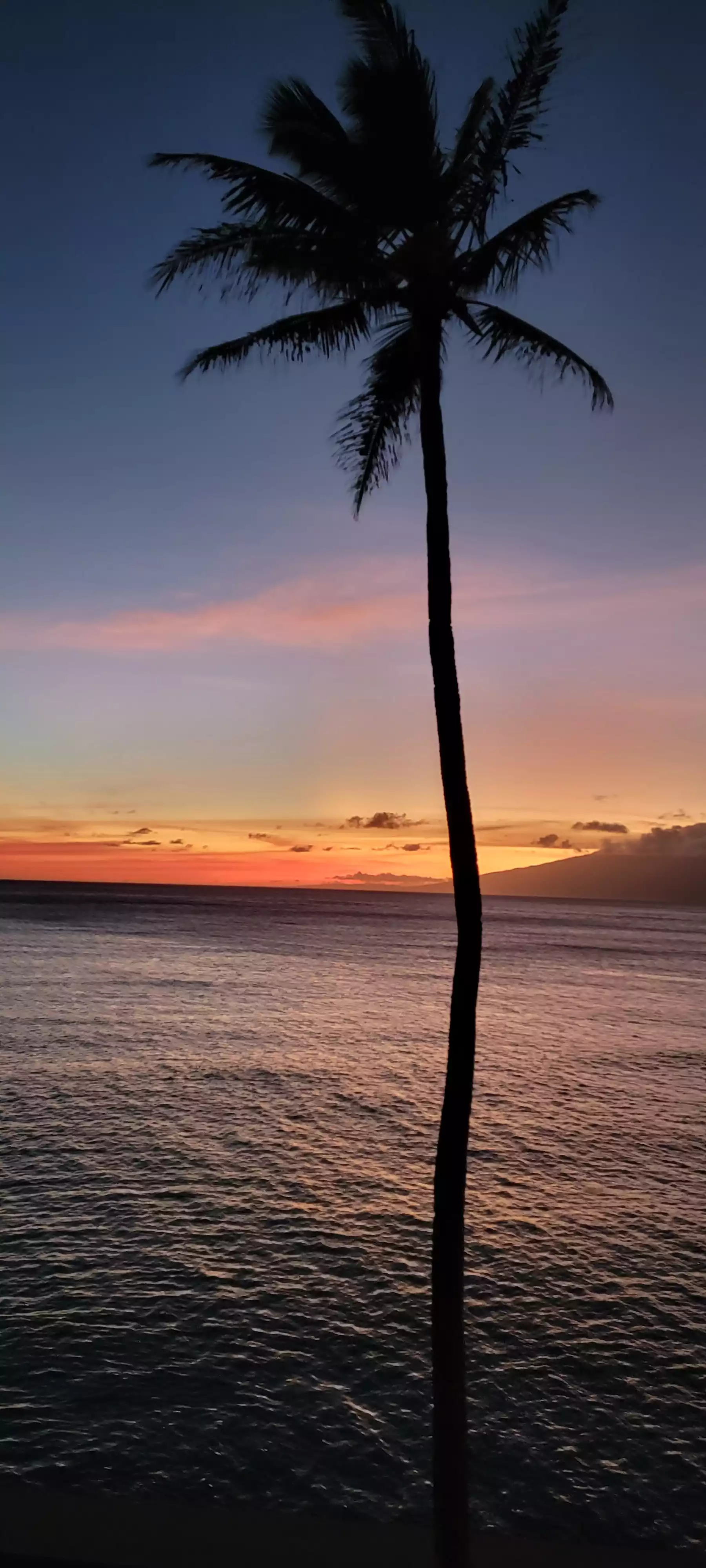 Orange skys Orange skys - Annie's Surf Shack, Kahana Reef - Lahaina