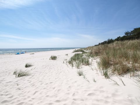"Olla" - 400m from the sea
