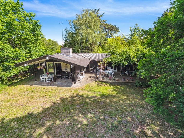 bistra-280m-from-the-sea/