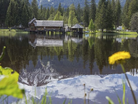 Superior #56 mit IR-Sauna&Sprudelbad