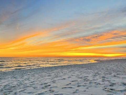 Turtles Nest, East Unit 207
