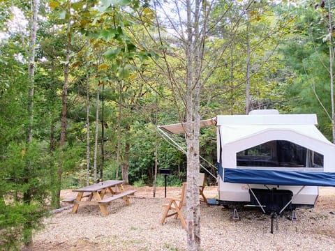 Shaded by the trees. Next to the woods