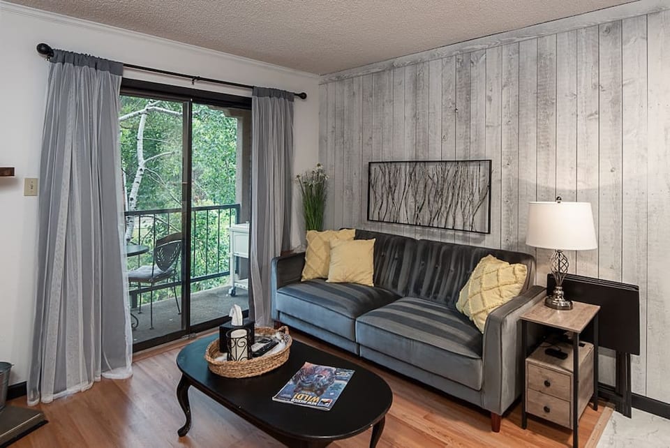 Cozy Condo in Ruidoso   - Ruidoso